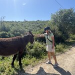 Photo taken by Tom L