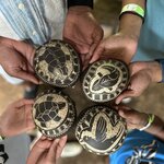 Photo taken by Sangeetha P