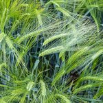 Photo taken by Jean M