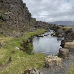 Photo taken by Dawn S