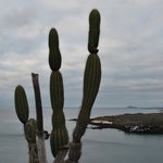 Photo taken by Natascia V