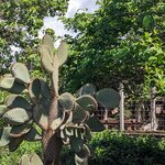 Photo taken by mimi s