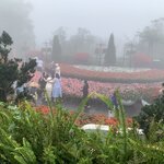 Photo taken by Ricky B