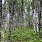 Photo taken by Eleanor S