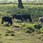 Photo taken by Meenakshi B