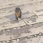 Photo taken by Allyson A