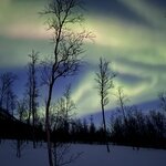 Photo taken by Tracy K