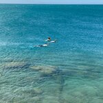 Photo taken by Don M