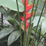 Photo taken by Morton A