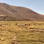 Photo taken by Carmen P