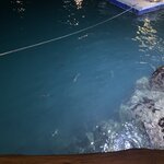 Photo taken by Stephanie A