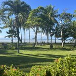 Photo taken by Victoria C