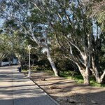 Photo taken by N.J. P