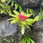 Photo taken by Alexia M