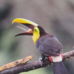 Photo taken by Jayme B