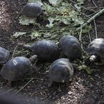 Photo taken by Vinay K