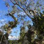 Photo taken by Breann B