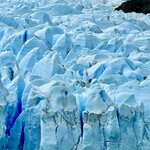 Photo taken by Alex G