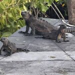 Photo taken by Ben S