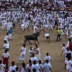 Photo taken by Liz S