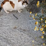 Photo taken by Elin T