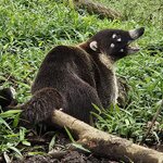 Photo taken by Mark S