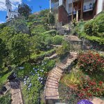 Photo taken by Peter F