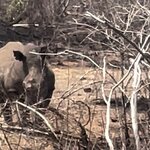 Photo taken by Kolla S