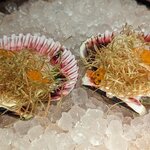 Photo taken by Erica A