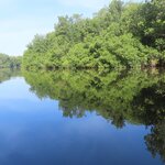 Photo taken by Mark B