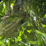 Photo taken by Ceinwen P