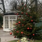 Photo taken by Thomas V