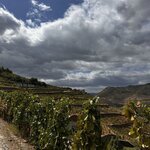 Photo taken by Allegra B