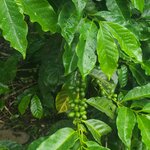 Photo taken by Emelyn J