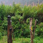 Photo taken by Tamara N