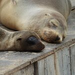 Photo taken by Patricia D