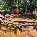 Photo taken by Randall D