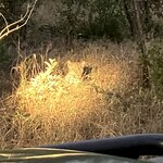 Photo taken by rhonda c