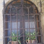 Pals | Photo taken by Carol P