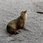 Photo taken by Joseph P