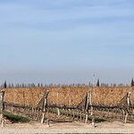 Photo taken by Graciela P