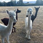 Photo taken by Dan U