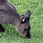 Photo taken by Rosemary S