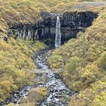 Photo taken by Joe D