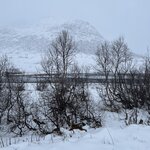 Photo taken by Dawn K