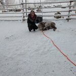 Photo taken by Anna P