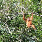 Photo taken by Matteo R