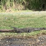 Photo taken by Luke T