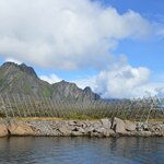 Photo taken by paolo c