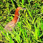 Photo taken by Dennis H